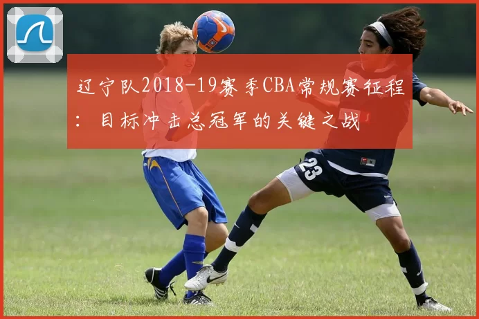 辽宁队2018-19赛季CBA常规赛征程：目标冲击总冠军的关键之战