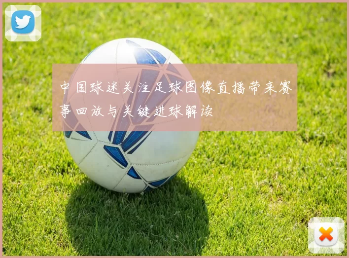 中国球迷关注足球图像直播带来赛事回放与关键进球解读