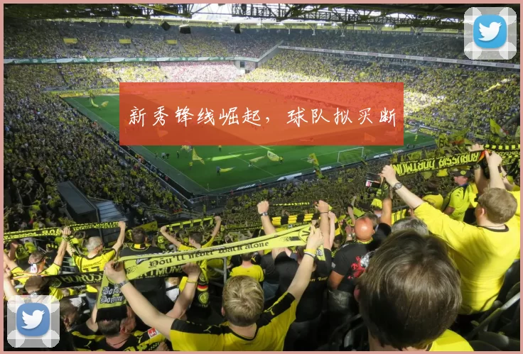 新秀锋线崛起，球队拟买断