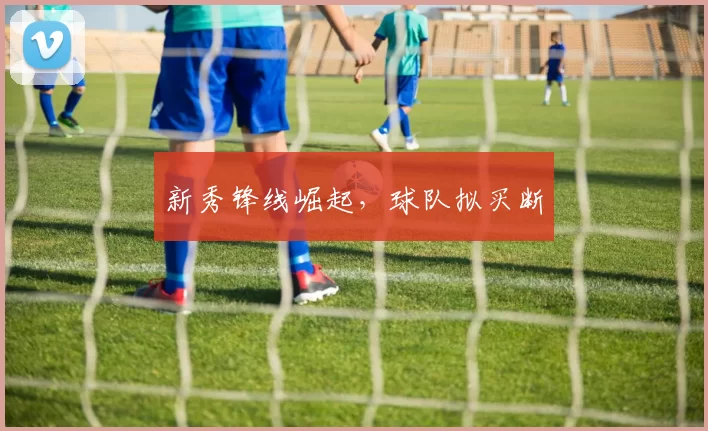 新秀锋线崛起，球队拟买断