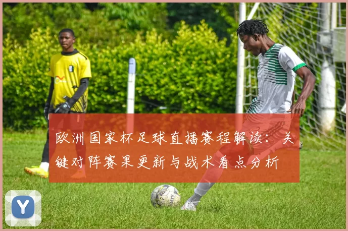 欧洲国家杯足球直播赛程解读：关键对阵赛果更新与战术看点分析
