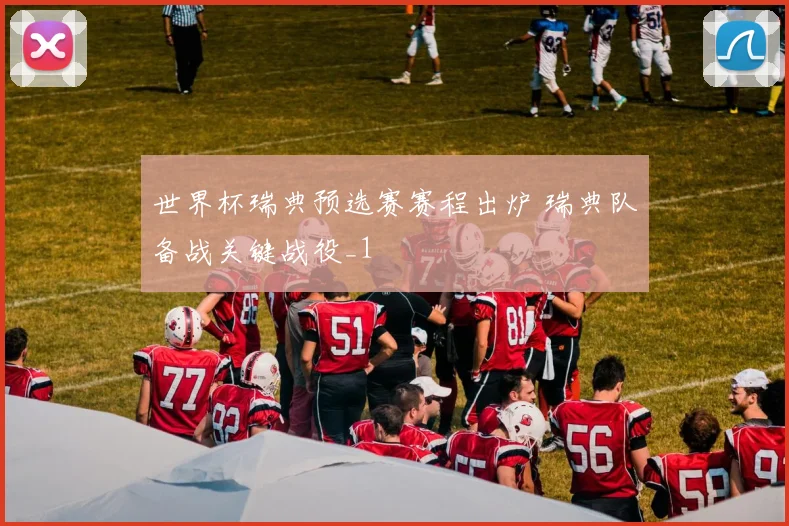 世界杯瑞典预选赛赛程出炉 瑞典队备战关键战役_1