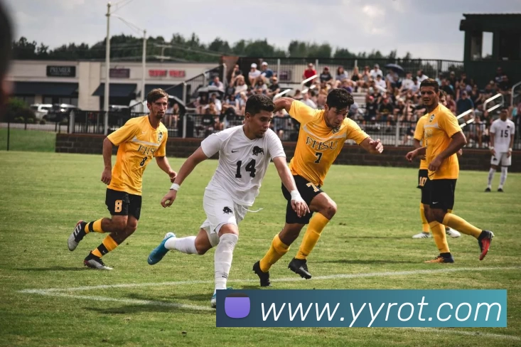 数据防护可视化